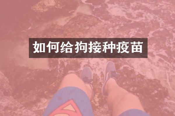 如何给狗接种疫苗