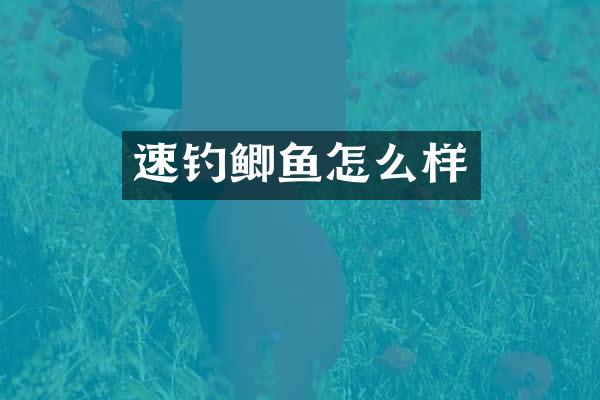 速钓鲫鱼怎么样