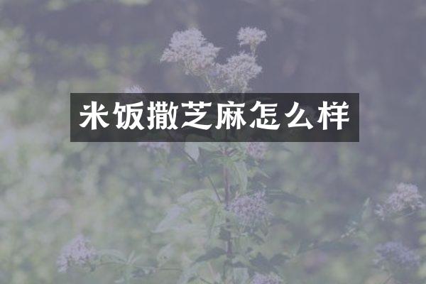 米饭撒芝麻怎么样