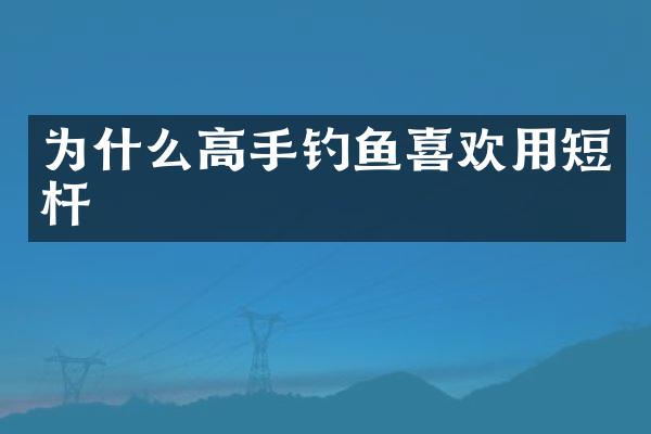 为什么高手钓鱼喜欢用短杆