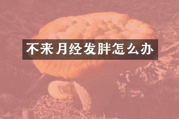 不来月经发胖怎么办