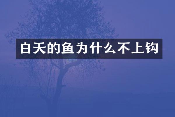 白天的鱼为什么不上钩
