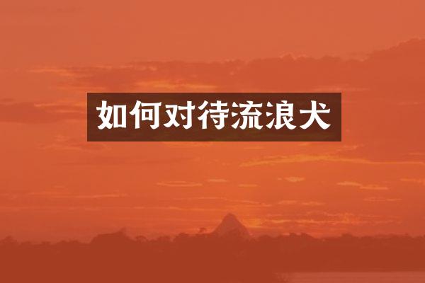 如何对待流浪犬