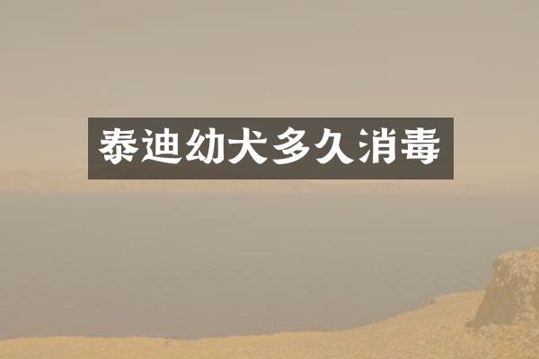 泰迪幼犬多久消毒