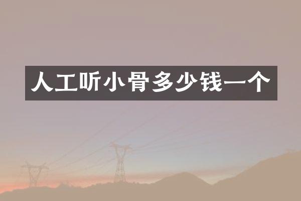 人工听小骨多少钱一个