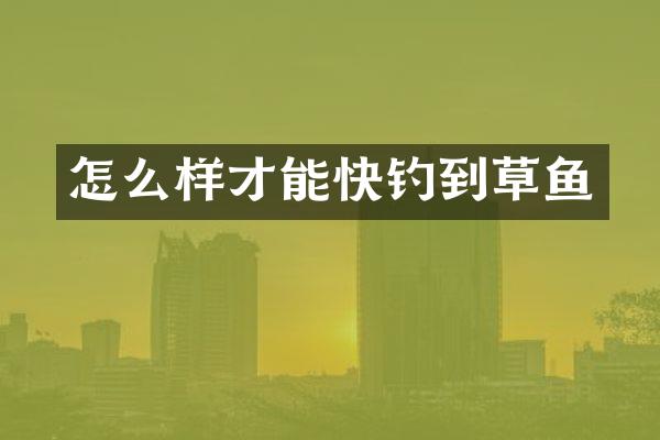 怎么样才能快钓到草鱼