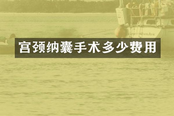 宫颈纳囊手术多少费用