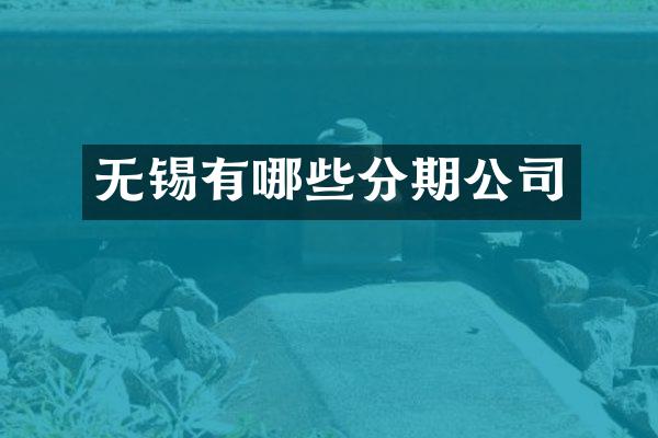 无锡有哪些分期公司