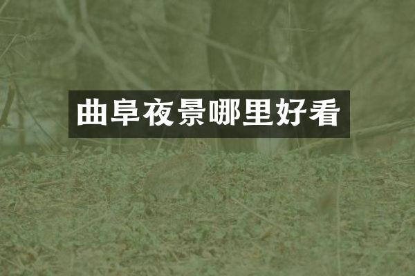 曲阜夜景哪里好看