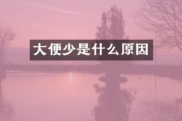 大便少是什么原因