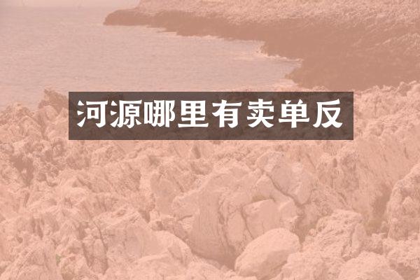河源哪里有卖单反