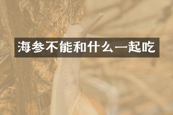 海参不能和什么一起吃