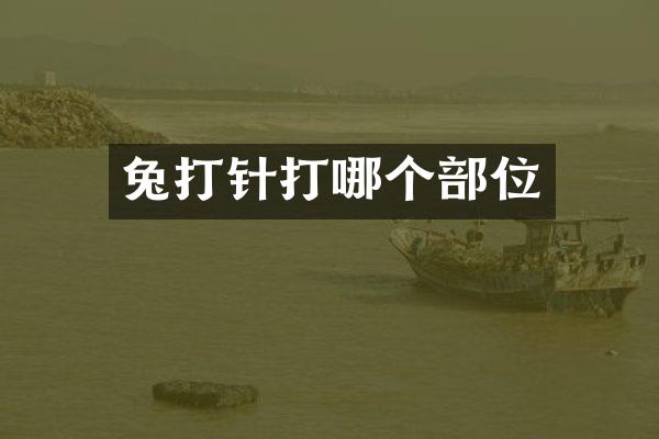 兔打针打哪个部位