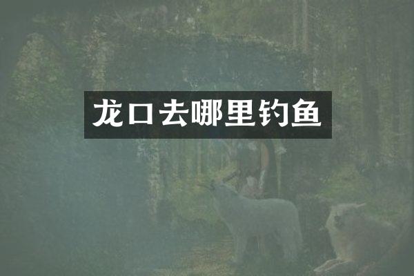 龙口去哪里钓鱼