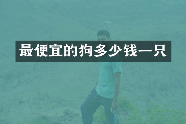 最便宜的狗多少钱一只