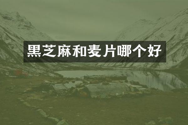 黑芝麻和麦片哪个好