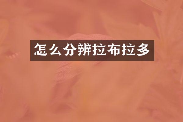 怎么分辨拉布拉多