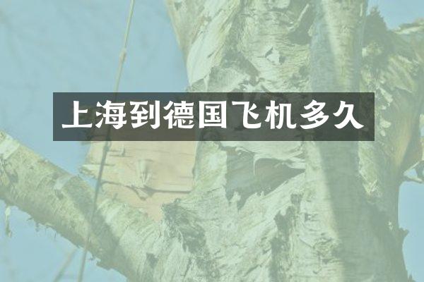上海到德国飞机多久