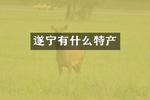 遂宁有什么特产