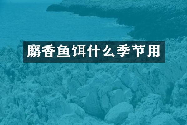 麝香鱼饵什么季节用