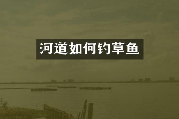 河道如何钓草鱼