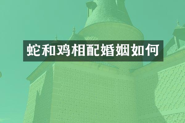 蛇和鸡相配婚姻如何