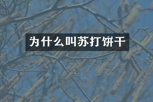 为什么叫苏打饼干
