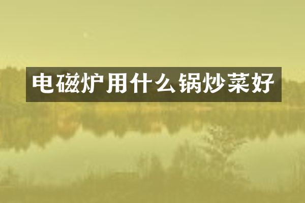电磁炉用什么锅炒菜好