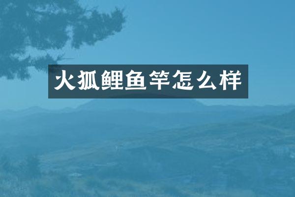 火狐鲤鱼竿怎么样