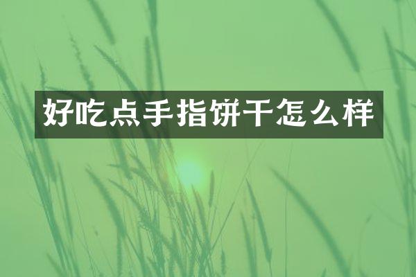 好吃点手指饼干怎么样