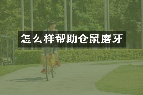 怎么样帮助仓鼠磨牙