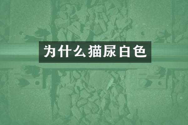 为什么猫尿白色