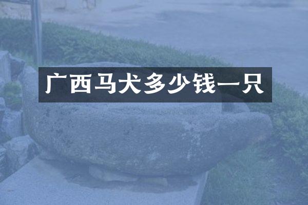广西马犬多少钱一只