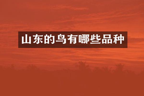 山东的鸟有哪些品种