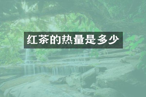 红茶的热量是多少