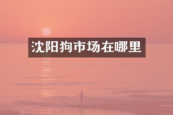 沈阳狗市场在哪里