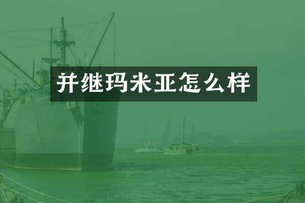并继玛米亚怎么样