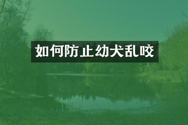 如何防止幼犬乱咬