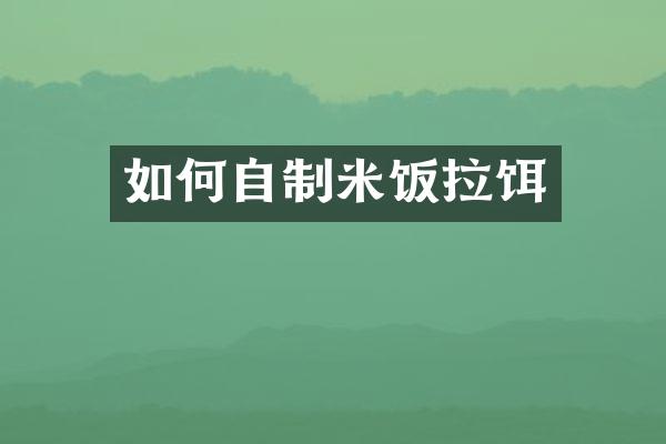 如何自制米饭拉饵