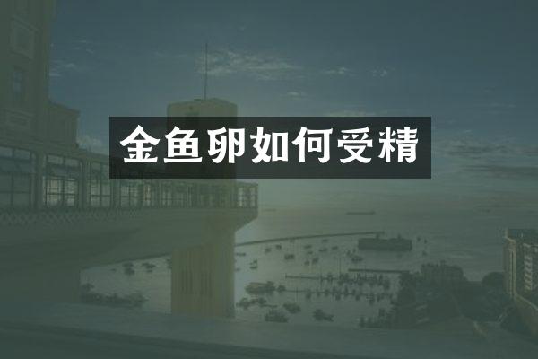 金鱼卵如何受精