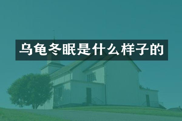 乌龟冬眠是什么样子的