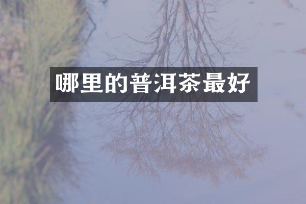 哪里的普洱茶最好