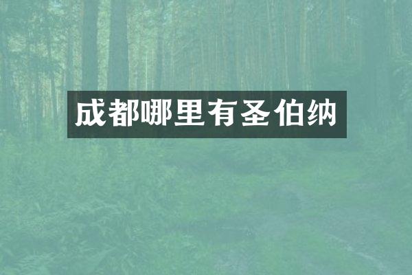 成都哪里有圣伯纳