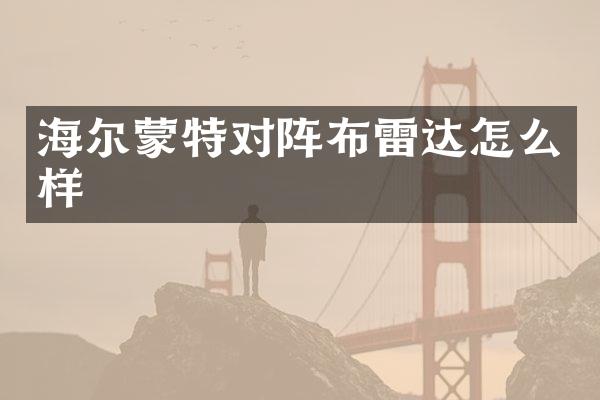 海尔蒙特对阵布雷达怎么样