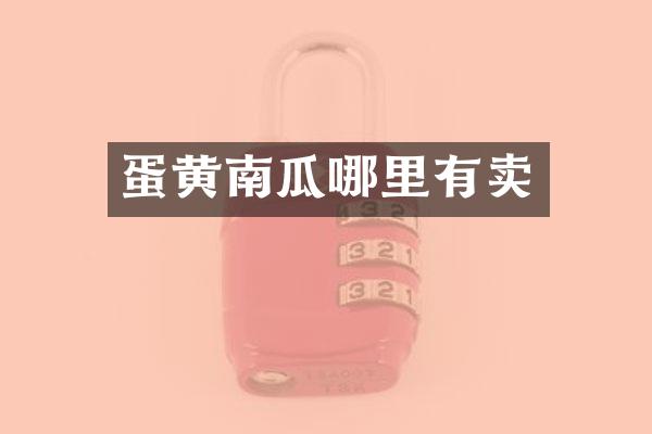 蛋黄南瓜哪里有卖