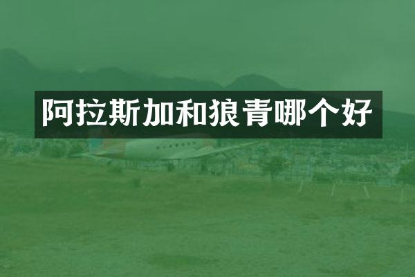 阿拉斯加和狼青哪个好