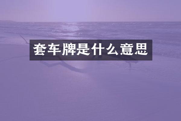 套车牌是什么意思