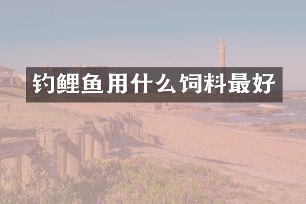 钓鲤鱼用什么饲料最好