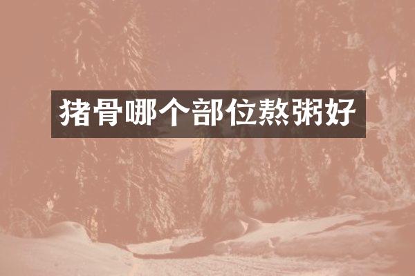 猪骨哪个部位熬粥好