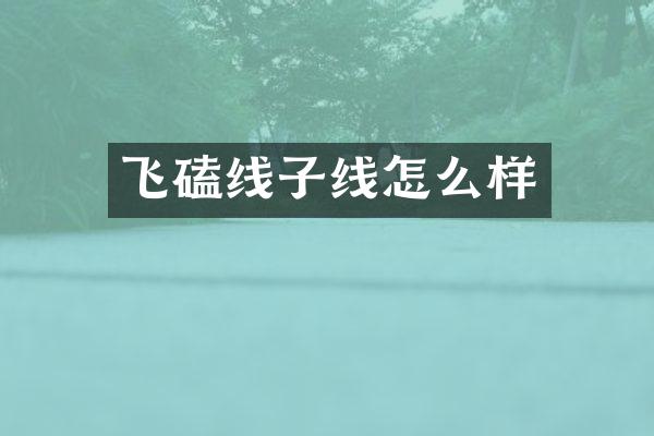 飞磕线子线怎么样